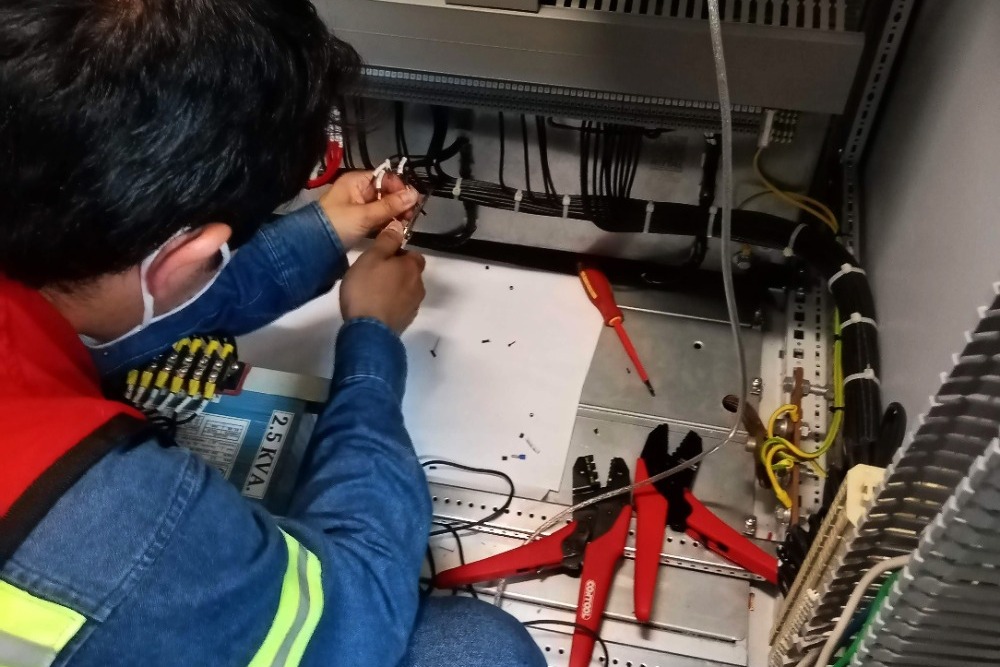 Pruebas especializadas